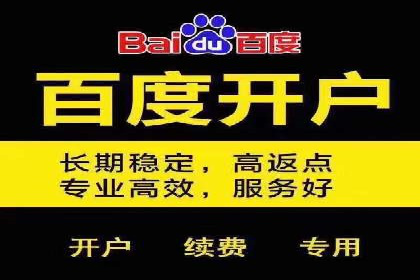 案例分享：百度竞价广告投放案例